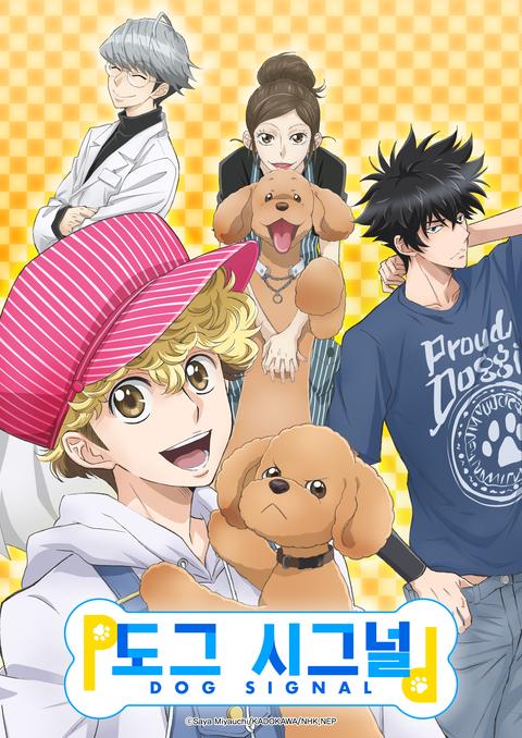 도그 시그널