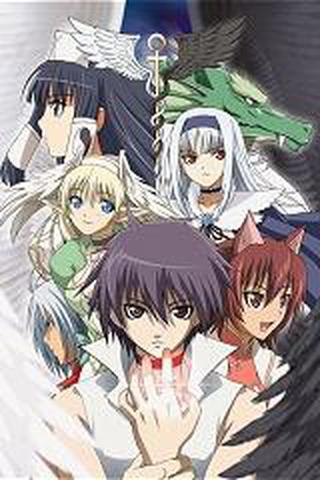 샤이닝 티어즈 x 윈드