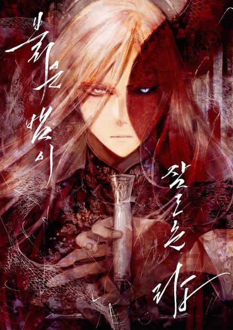 붉은 뱀이 잠드는 탑