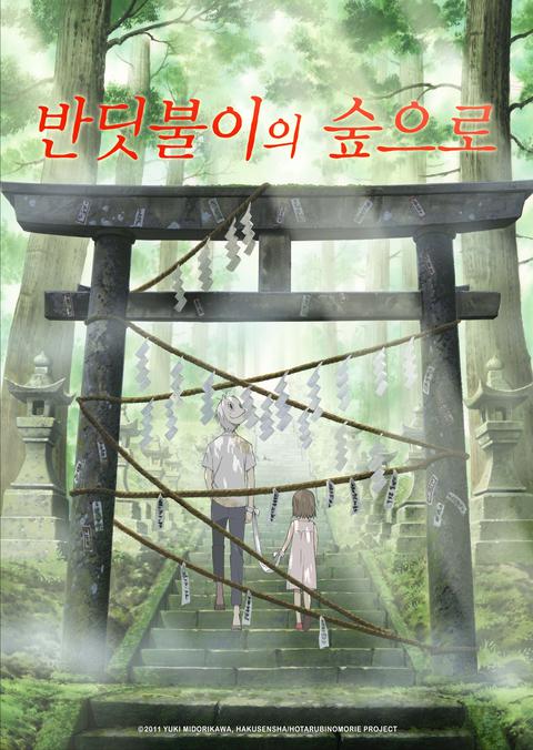 반딧불이의 숲으로