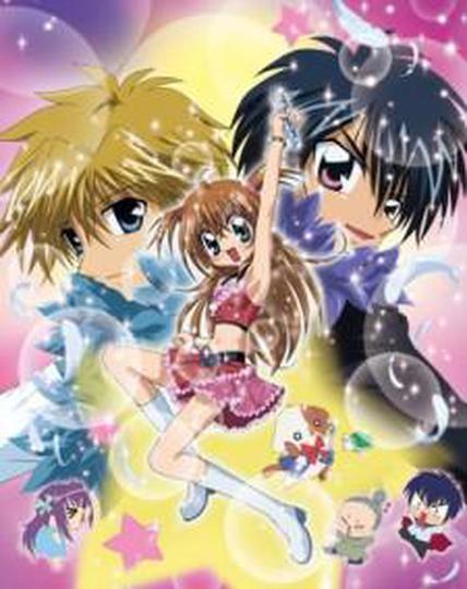 라라의 스타일기