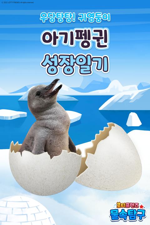 로티프렌즈 아기펭귄 성장일기 - 한국어