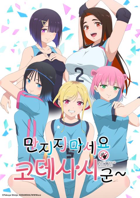 만지지 마세요 코테사시 군