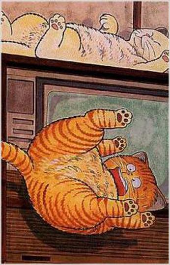 호왓쯔 마이클? TV판