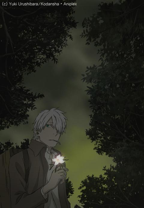 충사 특별편: 해를 좀먹는 그늘 OVA