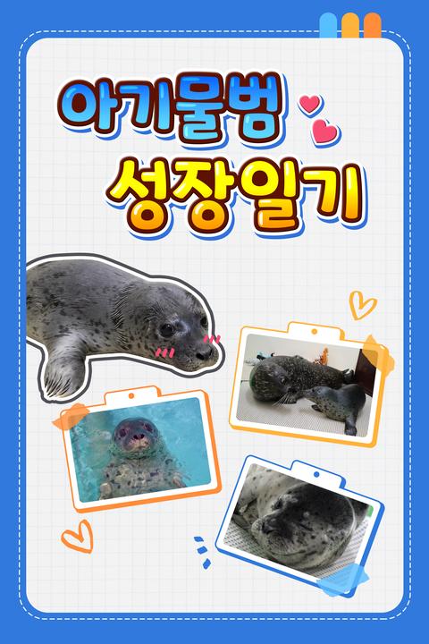 아기물범 성장일기 - 한국어