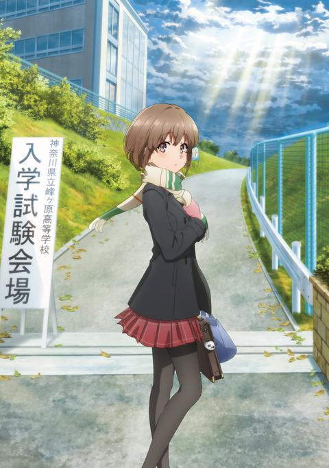 청춘 돼지는 외출하는 여동생의 꿈을 꾸지 않는다