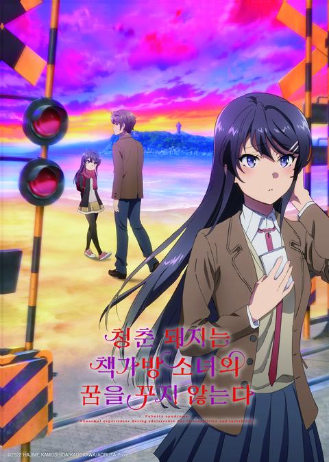 청춘 돼지는 책가방 소녀의 꿈을 꾸지 않는다