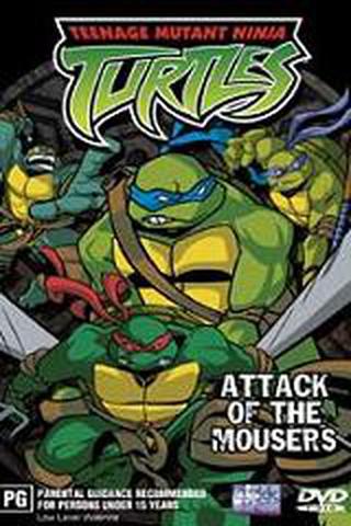 닌자 거북이 2003